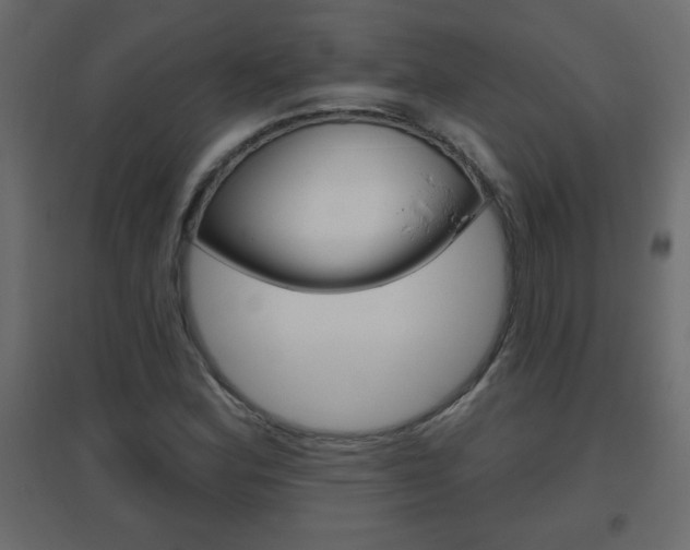 X0000096631164200802050927