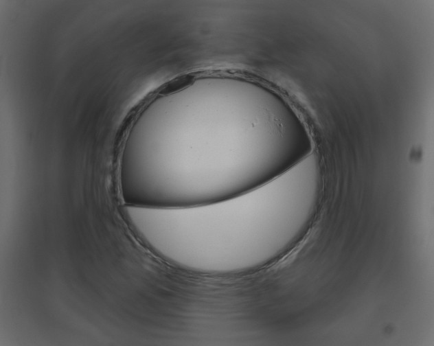 X0000096631165200802050927