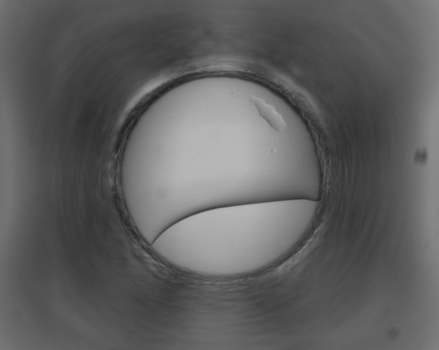 X0000096631166200802050927