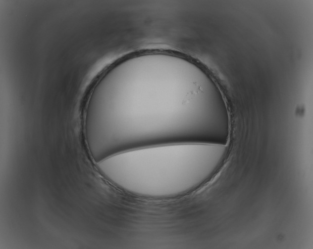 X0000096631167200802050927