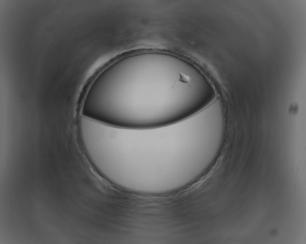 X0000096631168200802050927