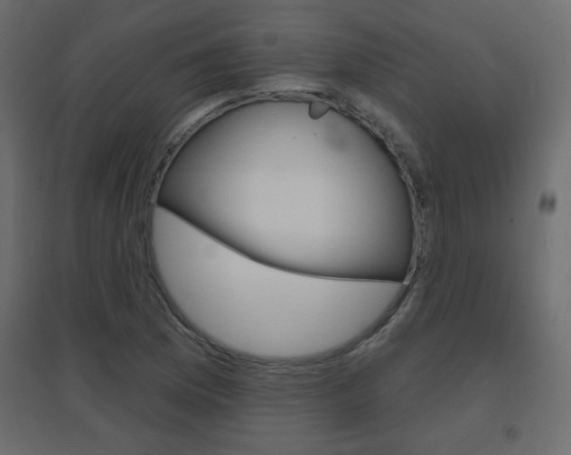X0000096631169200802050927