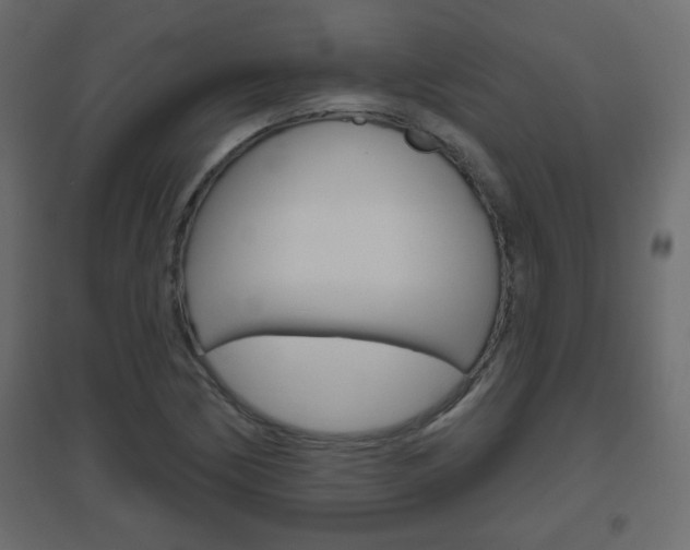 X0000096631170200802050927