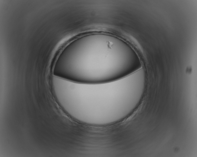 X0000096631172200802050927