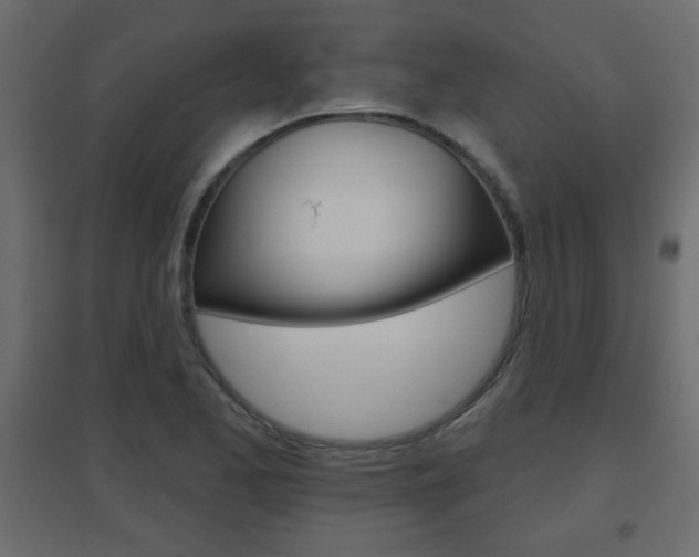 X0000096631173200802050926
