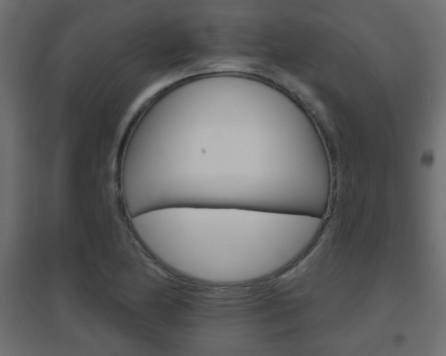 X0000096631174200802050926
