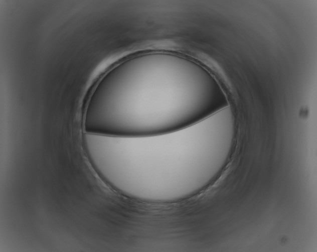 X0000096631176200802050926