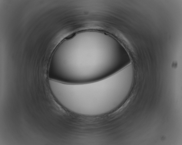 X0000096631177200802050926