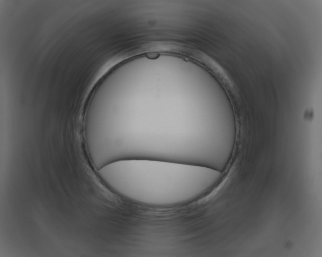 X0000096631178200802050926