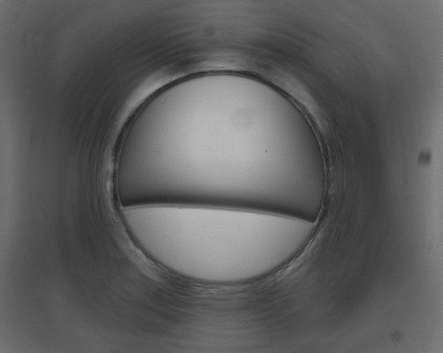 X0000096631179200802050926