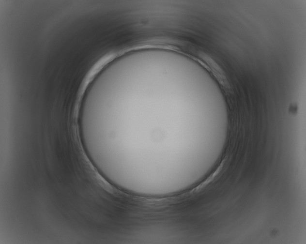 X0000096631180200802050926