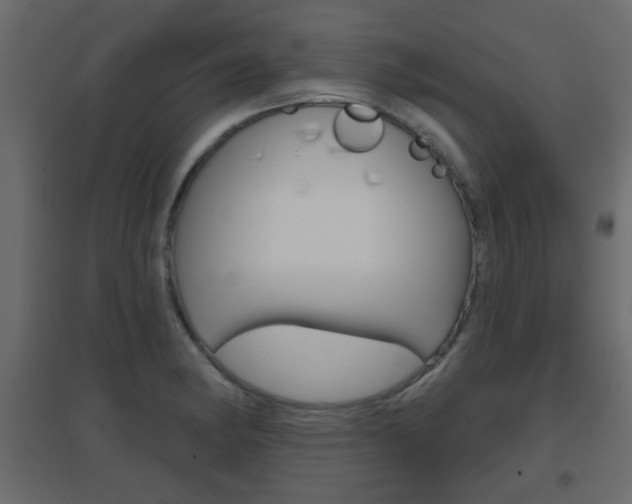 X0000096631182200802050926