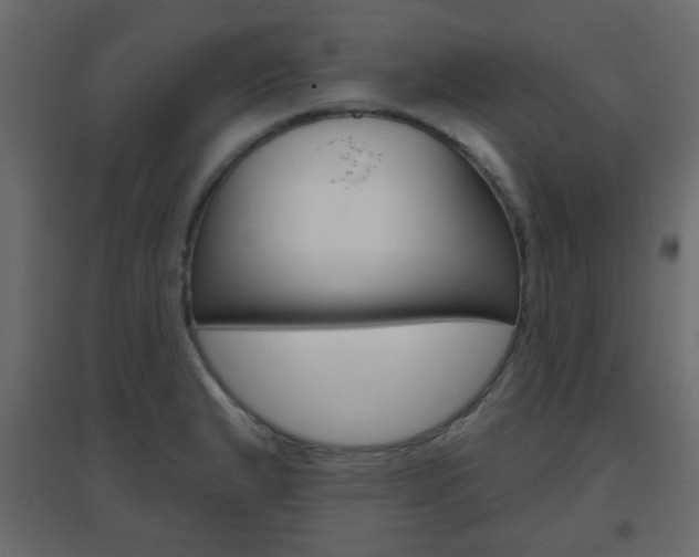 X0000096631183200802050926