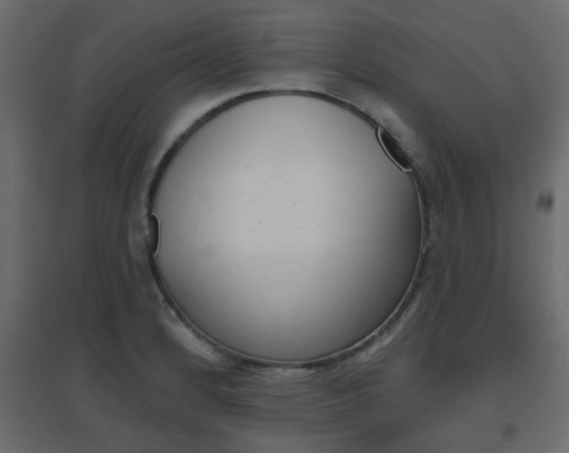 X0000096631184200802050926