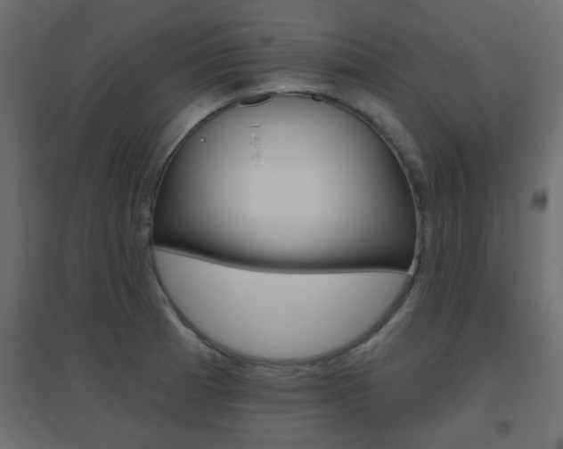 X0000096631185200802050926