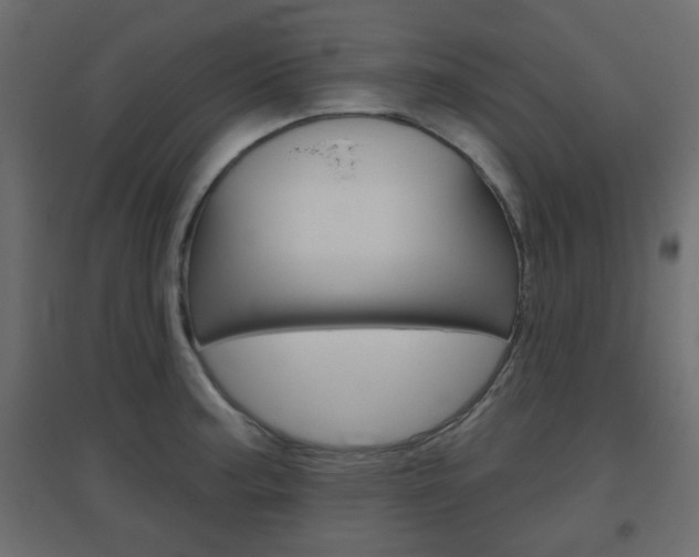 X0000096631187200802050926