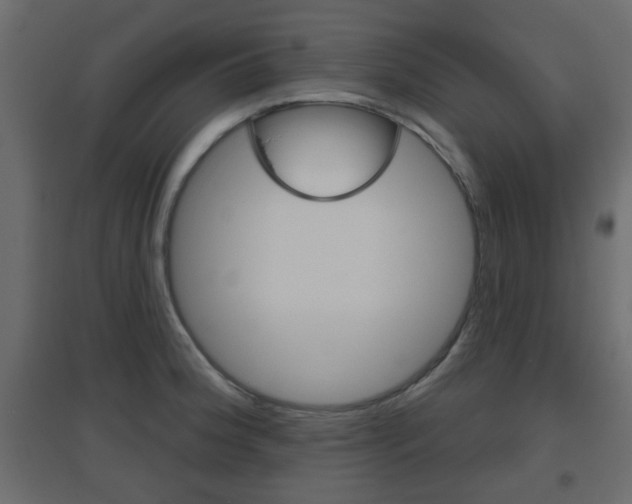 X0000096631188200802050926