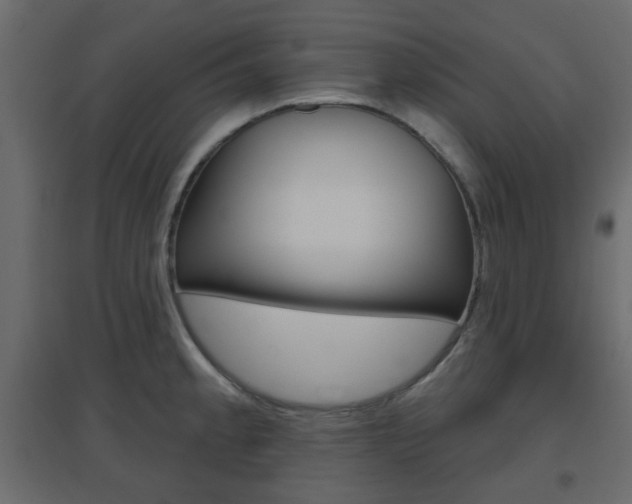 X0000096631189200802050926