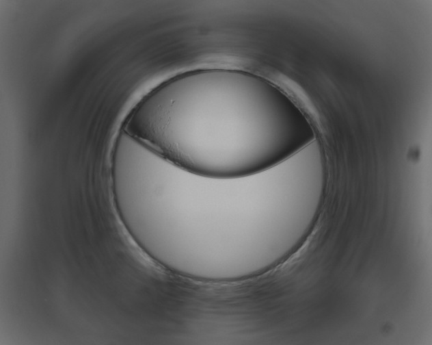 X0000096631192200802050926