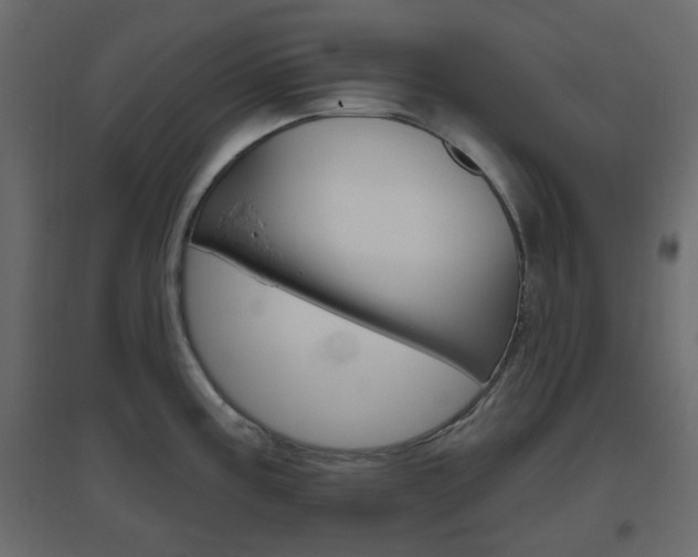 X0000096631195200802050926