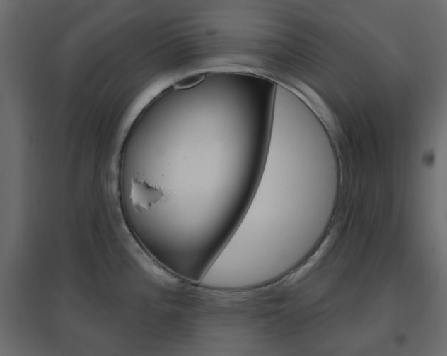 X0000096631196200802050926
