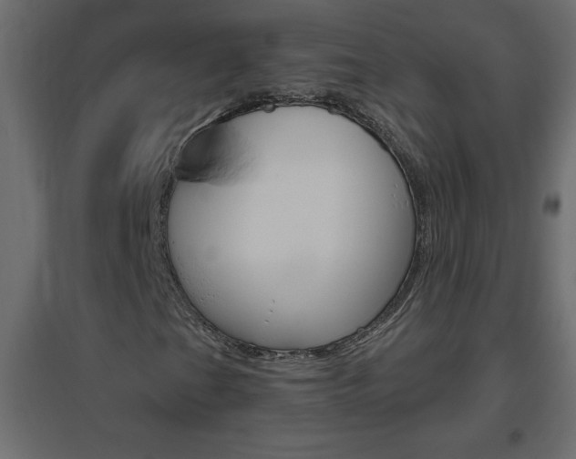 X0000096631201200802050925
