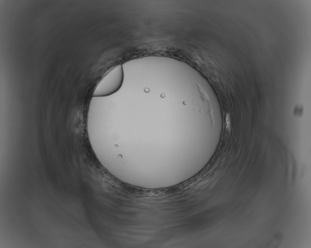 X0000096631203200802050925