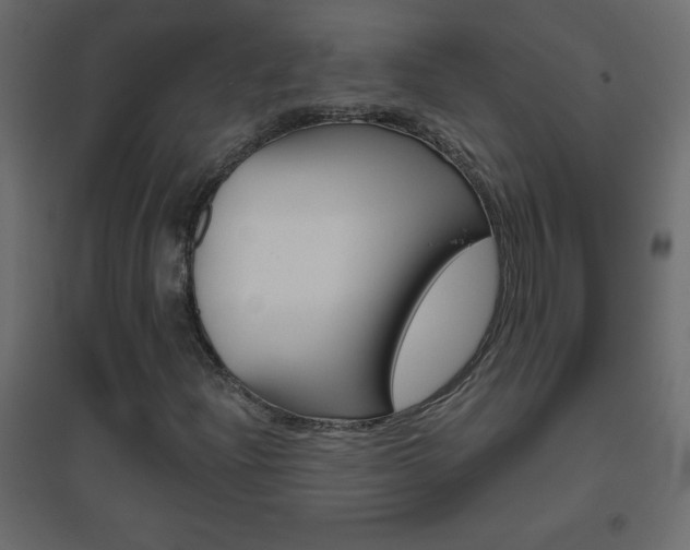 X0000096631204200802050925