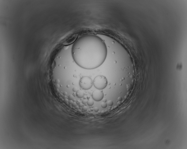 X0000096631205200802050925