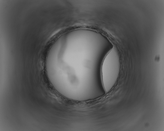 X0000096631206200802050925