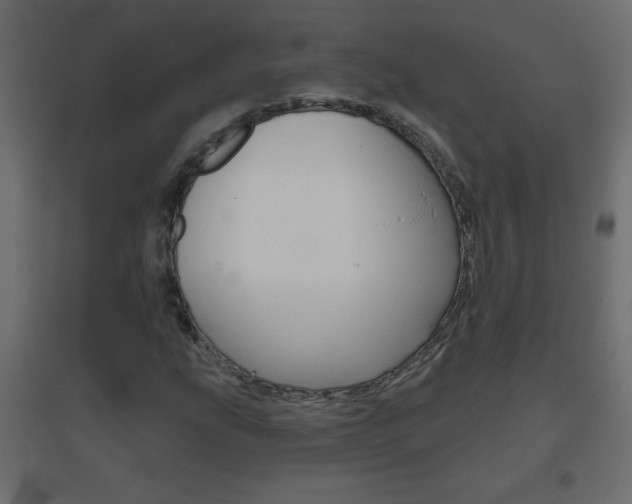 X0000096631207200802050925
