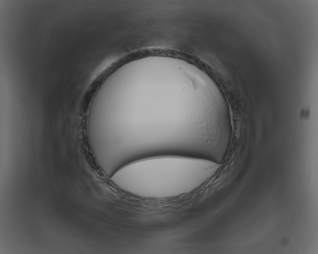 X0000096631208200802050925