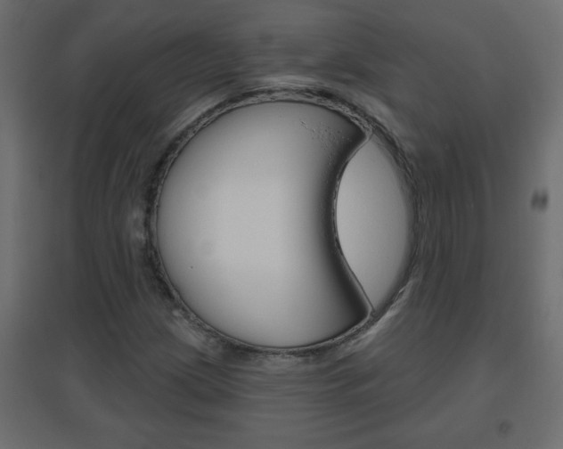 X0000096631209200802050925