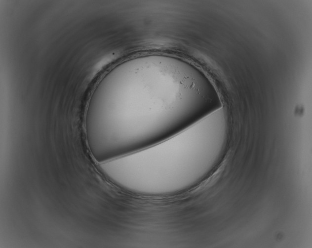 X0000096631210200802050925