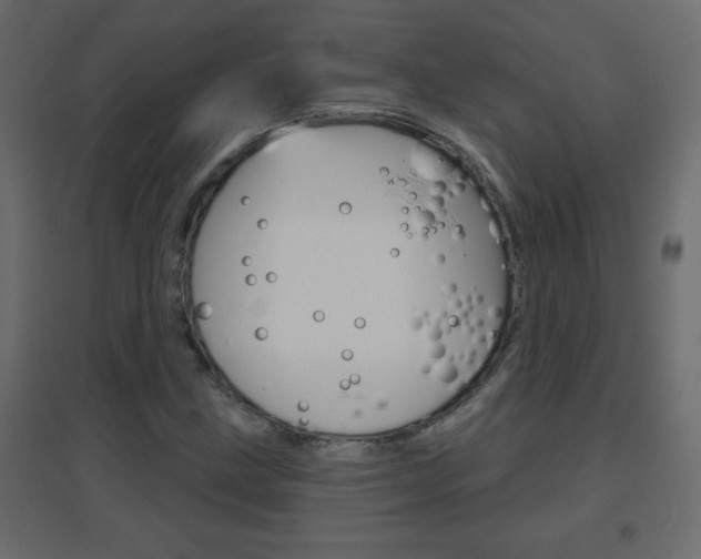 X0000096631211200802050925