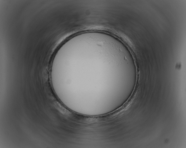 X0000096631212200802050925