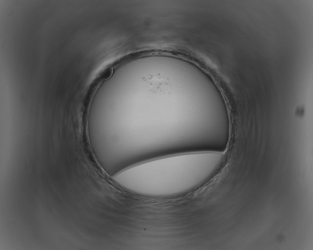 X0000096631214200802050925