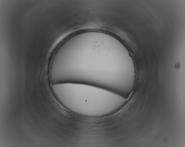 X0000096631216200802050926