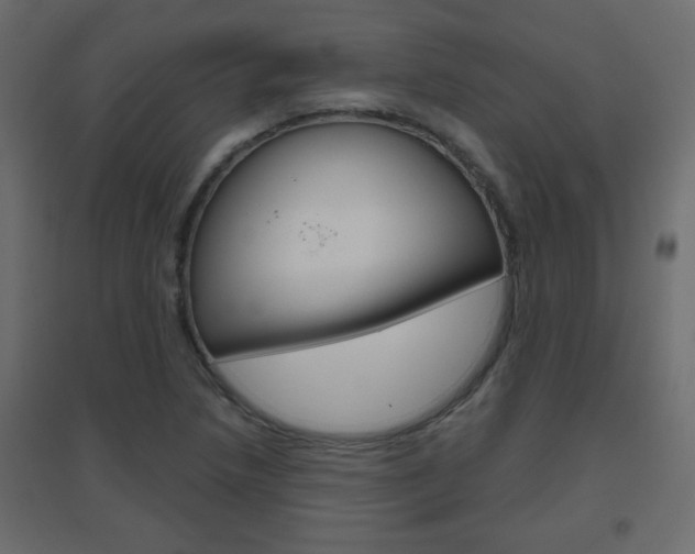 X0000096631218200802050926