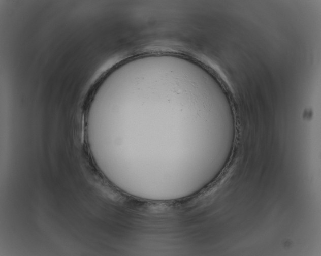 X0000096631219200802050926