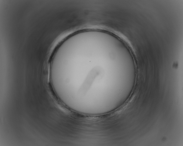X0000096631223200802050926