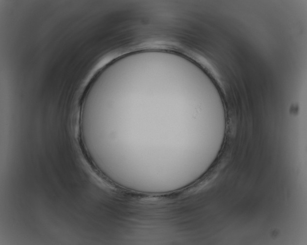 X0000096631227200802050926