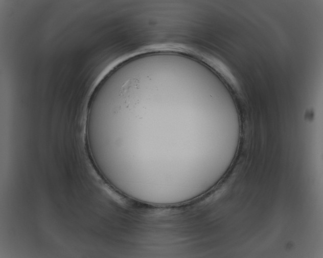 X0000096631228200802050926