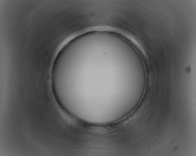 X0000096631229200802050926