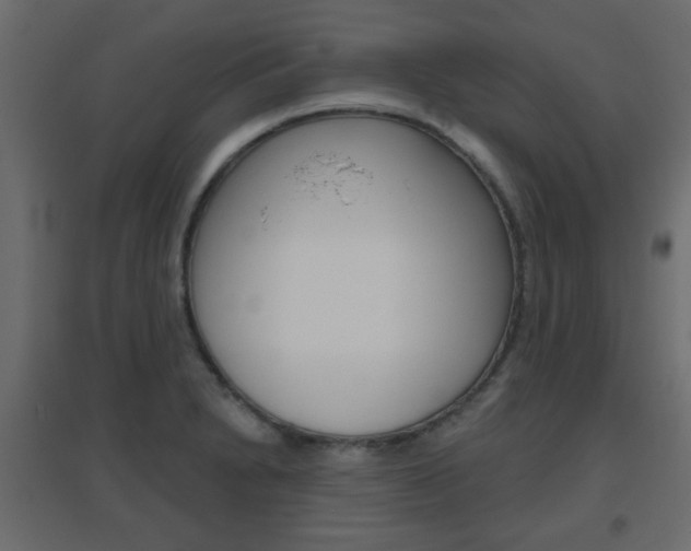 X0000096631230200802050926