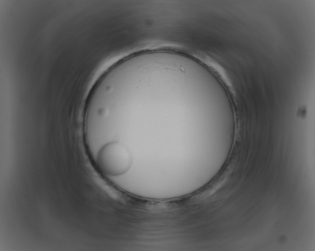 X0000096631231200802050926