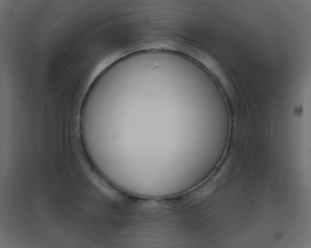 X0000096631234200802050926