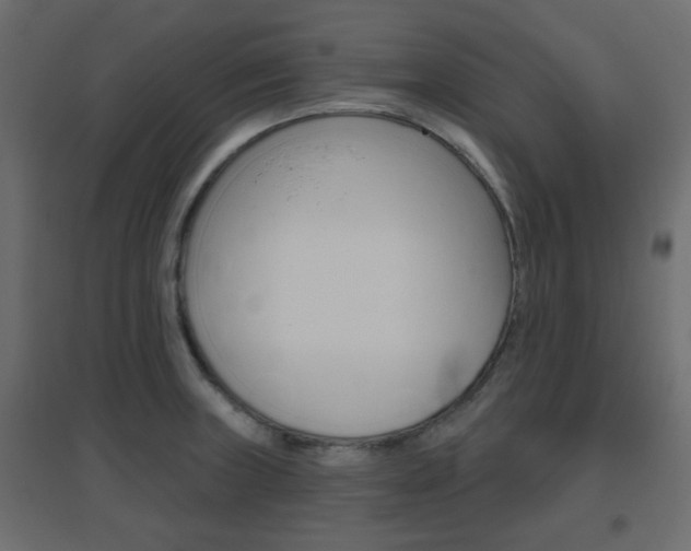 X0000096631235200802050926