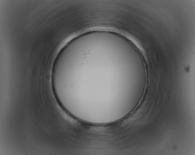 X0000096631237200802050926