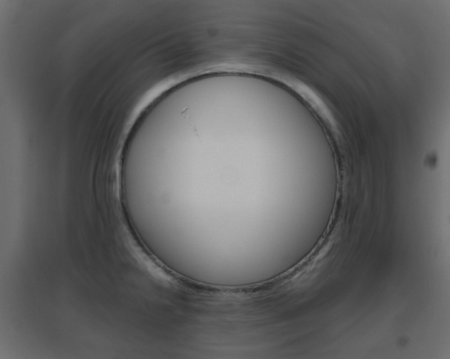 X0000096631238200802050926